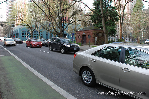 Chapman Square-0448