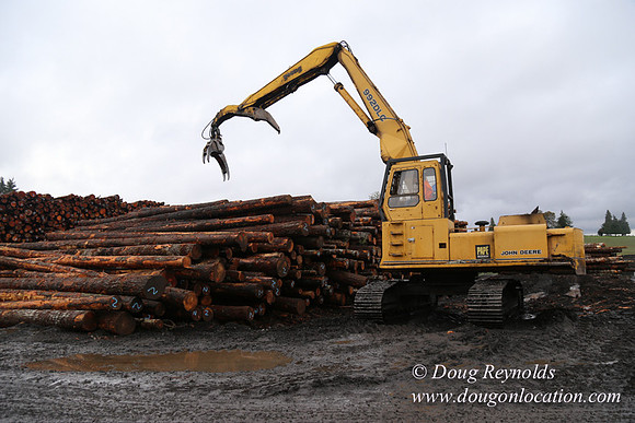 Saw Mill and Lumber Yard