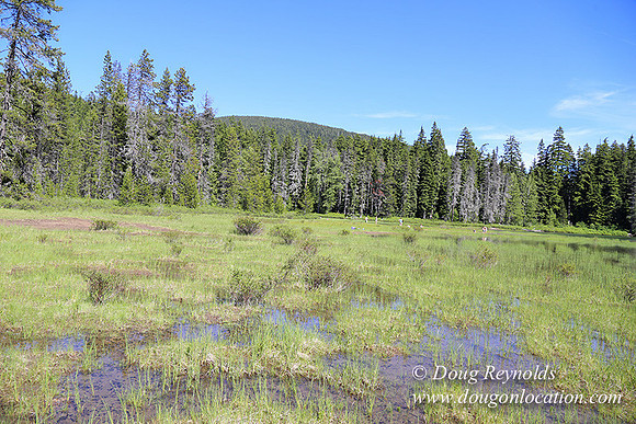Frog Lake-3494