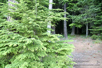 timathy Northwest Side-14529