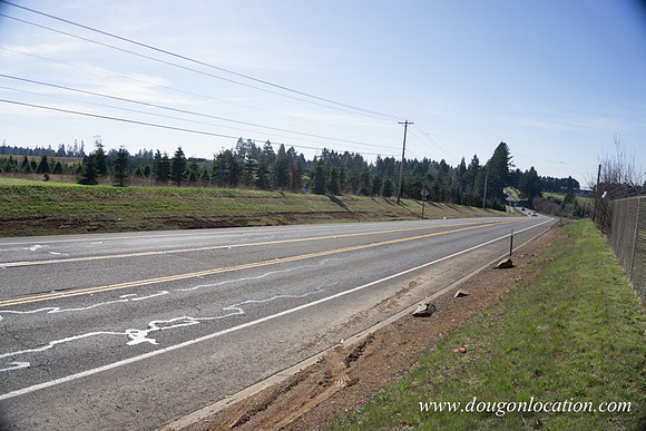 Hwy 211 Sandy-3562