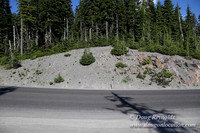Timberline Rd View South-6980