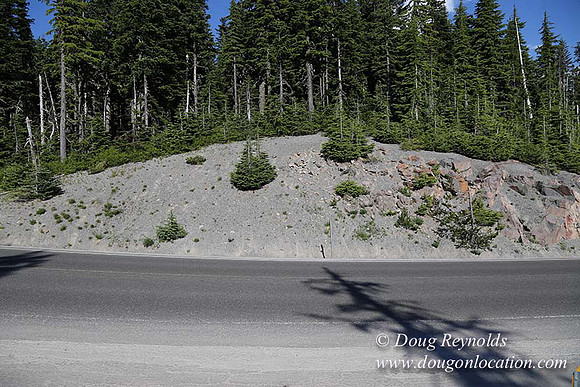 Timberline Rd View South-6980