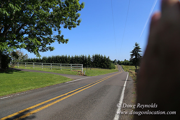 "2 Barns", "2 car garage", "40+ Acres", "PDX Zone", Pool, "White Fence", cows, "farm House", "rap around dive", "well maintained"