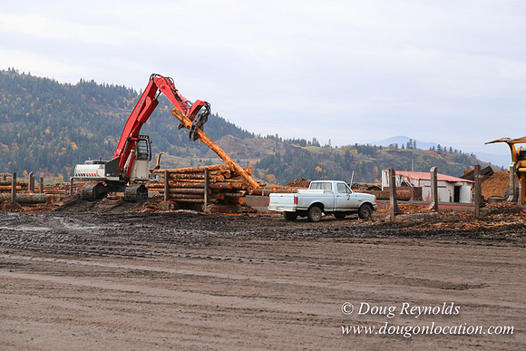 SDS Lumber-1301