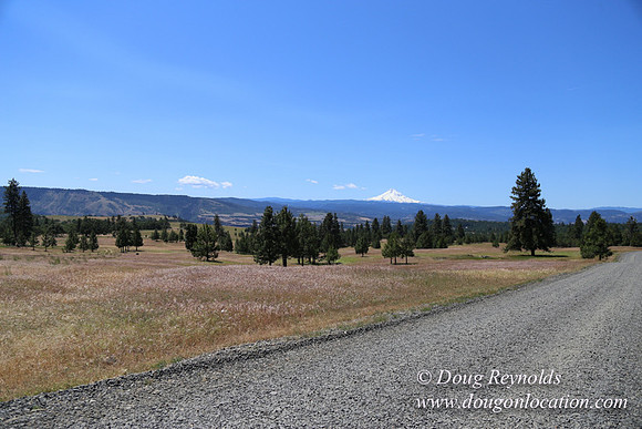 Brothers Ranch-8447