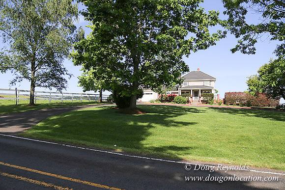 "2 Barns", "2 car garage", "40+ Acres", "PDX Zone", Pool, "White Fence", cows, "farm House", "rap around dive", "well maintained"
