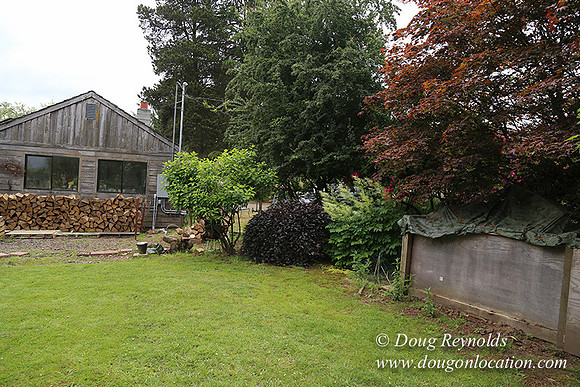 Shere's Garden Flowers & produce