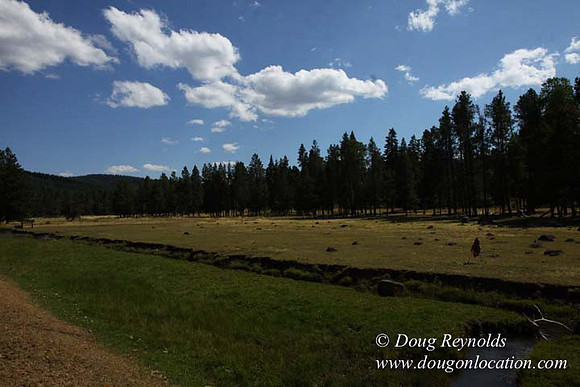 Ranch 18 South side of Hwy  has 2500 Acres of green fields Creeks water crossing Bridges on a Large Lake and miles of Dirt roads Oak trees  Forest land ATV Trails cows