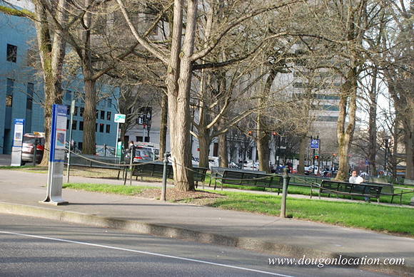 Chapman Square-0453