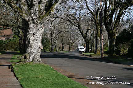 East Morland