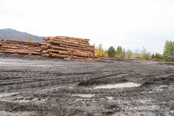 SDS Lumber-1329