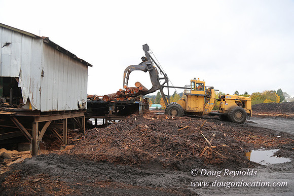 Saw Mill and Lumber Yard