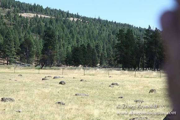 Ranch 18 South side of Hwy  has 2500 Acres of green fields Creeks water crossing Bridges on a Large Lake and miles of Dirt roads Oak trees  Forest land ATV Trails cows