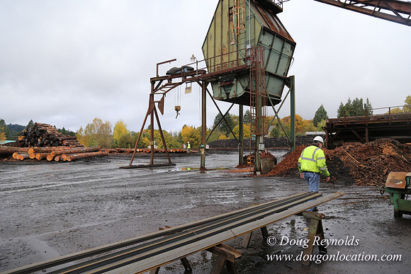 Saw Mill and Lumber Yard