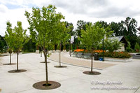 LO FH Park-3394