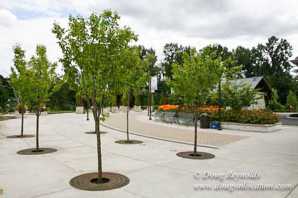 LO FH Park-3394