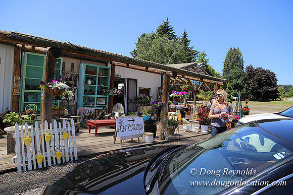 Little Door Farm Market-5395