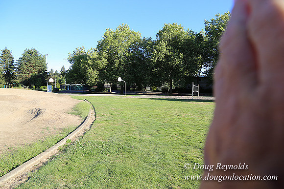 Lincoln Park-0589