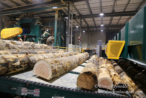 Saw Mill and Lumber Yard