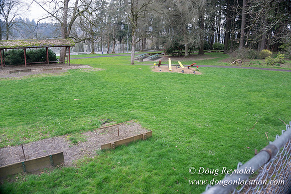 Sellwood Park-2365