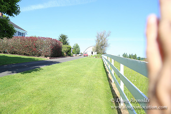 "2 Barns", "2 car garage", "40+ Acres", "PDX Zone", Pool, "White Fence", cows, "farm House", "rap around dive", "well maintained"