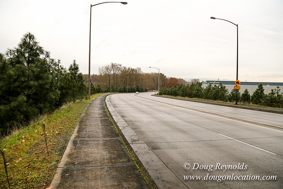 Marine Dr Overpass-5322
