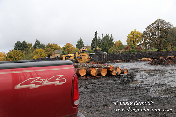 Saw Mill and Lumber Yard