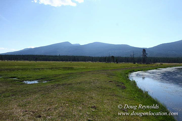 Ranch 18 South side of Hwy  has 2500 Acres of green fields Creeks water crossing Bridges on a Large Lake and miles of Dirt roads Oak trees  Forest land ATV Trails cows