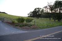 Spring Valley Rd