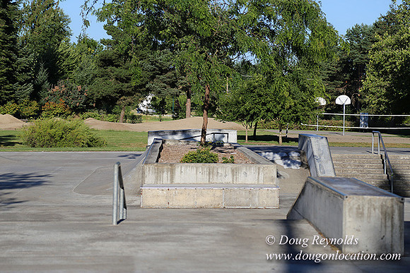 Lincoln Park-0614