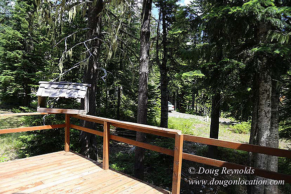 Jerry's Cabin-6677