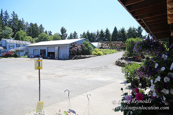 lee Farms-5264