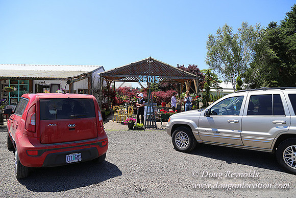 Little Door Farm Market-5385
