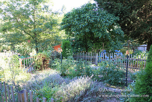 Traditional Style Home small farm with large kitchen great room, 2 story, 2 car garage on Acreage with large back yard, large front yard, garden, pond, deck, goats, bees, shop, PDX Zone