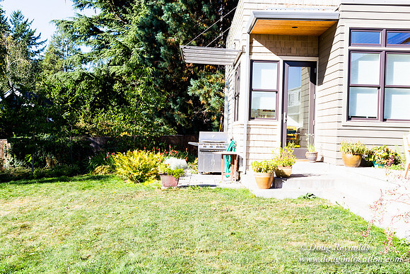 Jenx Back Yard