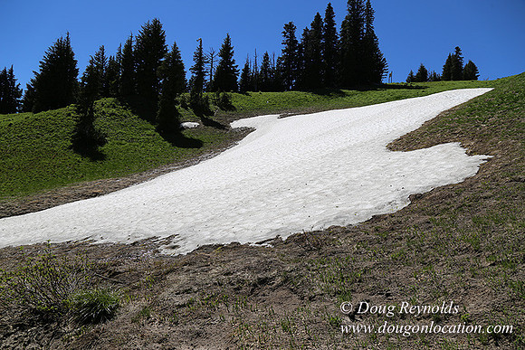 Medow's Snow-5799