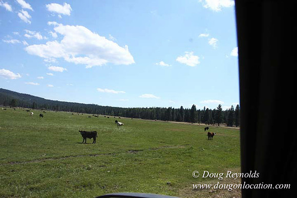 Ranch 18 South side of Hwy  has 2500 Acres of green fields Creeks water crossing Bridges on a Large Lake and miles of Dirt roads Oak trees  Forest land ATV Trails cows