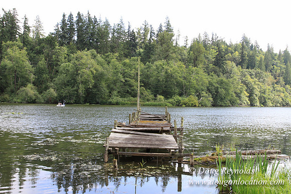 Roberts Lake House-4897