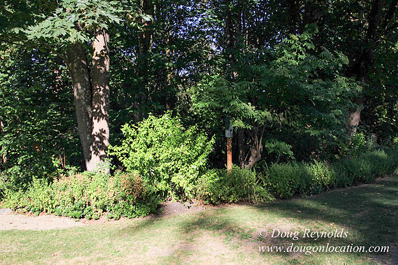 Traditional Style Home small farm with large kitchen great room, 2 story, 2 car garage on Acreage with large back yard, large front yard, garden, pond, deck, goats, bees, shop, PDX Zone