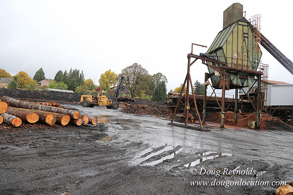 Saw Mill and Lumber Yard