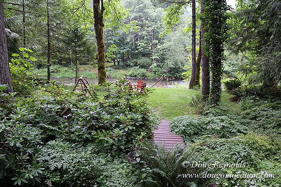 Small, Cabin, Home, River, OR, Oregon, Green, Yard,