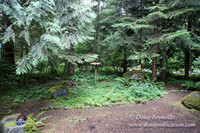 Gary's Cabin-7538
