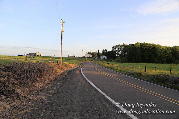 Mountaindale Rd-6416