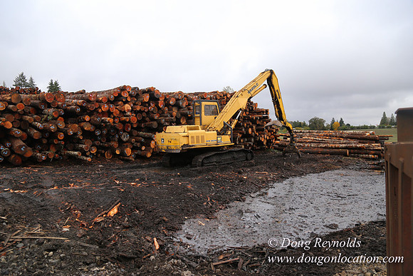 Saw Mill and Lumber Yard