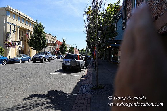 Forest Grove-0505