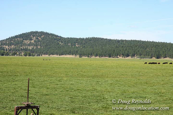 Ranch 18 South side of Hwy  has 2500 Acres of green fields Creeks water crossing Bridges on a Large Lake and miles of Dirt roads Oak trees  Forest land ATV Trails cows