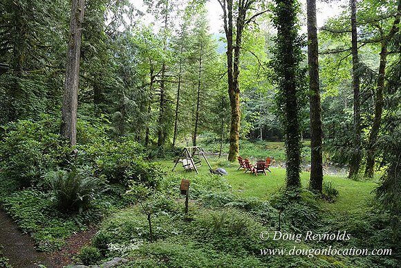 Small, Cabin, Home, River, OR, Oregon, Green, Yard,