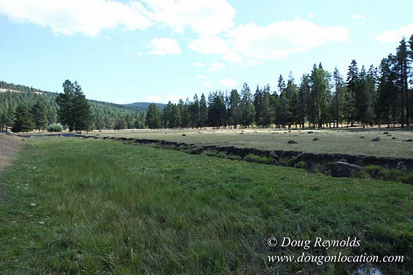 Ranch 18 South side of Hwy  has 2500 Acres of green fields Creeks water crossing Bridges on a Large Lake and miles of Dirt roads Oak trees  Forest land ATV Trails cows