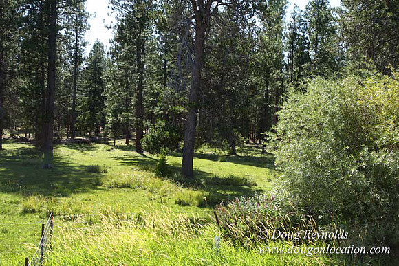 Ranch 18 South side of Hwy  has 2500 Acres of green fields Creeks water crossing Bridges on a Large Lake and miles of Dirt roads Oak trees  Forest land ATV Trails cows